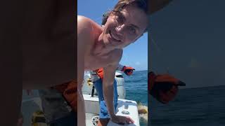 Download lagu I CAUGHT A MEGALODON SHARK?! #shorts mp3