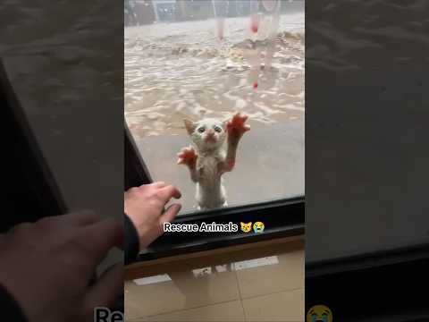 Phillies land All-Star closer Jhoan Duran ahead of MLB trade deadline 😿😭