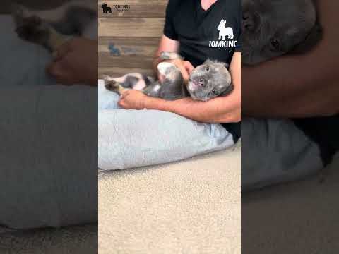 Video 1