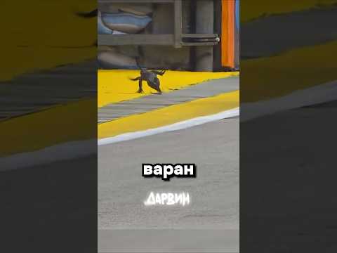 Всё еще быстрее чем Кадиллак