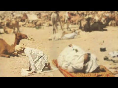 Dukuritë e udhëzimit të rrejshëm ''Mos falja e namazit me xhemat?!'' | Hoxhë Sadullah Bajrami