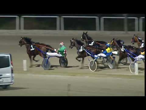 Napoli Trotto 25/08/2023 - 5ª corsa