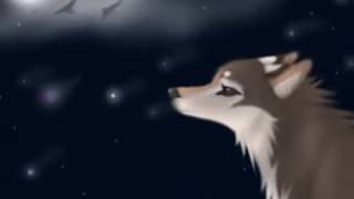 The Wolves Call