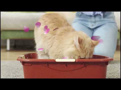 thumbnail video image 2 of Arena para gato Cat & Clean CleanKats Ecologica 20 kg, 2 of 4