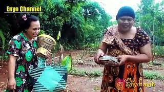 Download lagu While looking for mushrooms, I found Kuya batok mp3