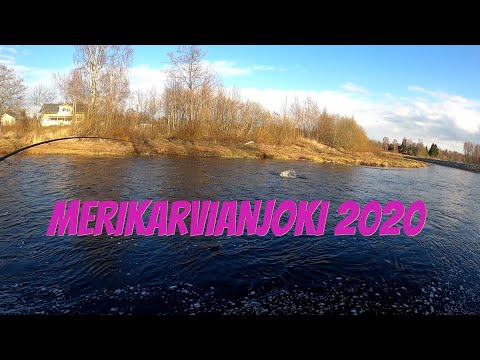 Merikarvianjoki 2020 | Kalastus 2020