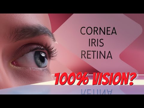 The EYE-Opening Truth About Our Eyes | Fun Facts and Tips!