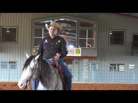 Franco Bertolani – Warming Up Horses at Home