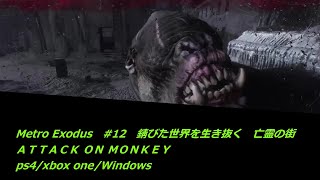 Metro Exodus　#12　錆びた世界を生き抜く　亡霊の街攻略　ps4xbox oneWindows