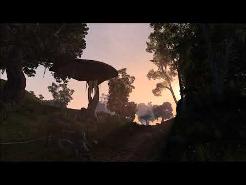 Best VGM 2159 - The Elder Scrolls III : Morrowind - Peaceful Waters