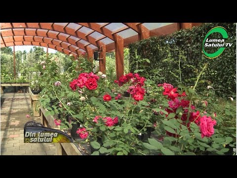 Emisiunea "Din lumea satului" - 16 iulie 2017