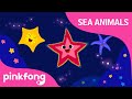 Shooby Dooby Doo Starfish Sea Animals Song Animal Song Pinkfong Songs For Children