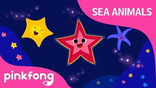 STARFISH SONG gameplay video by HDOTDEPT, 1:19 duration