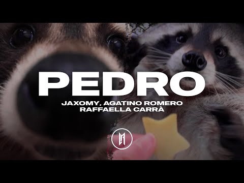 Pedro pedro pedro pe — Jaxomy, Agatino Romero, Raffaella Carrà // Sub Español (Tiktok)