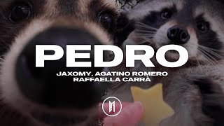Pedro pedro pedro pe — Jaxomy, Agatino Romero, Raffaella Carrà // Sub Español (Tiktok)
