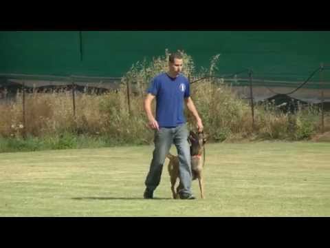 Dov Karni & Resha - BH - 2/5/14