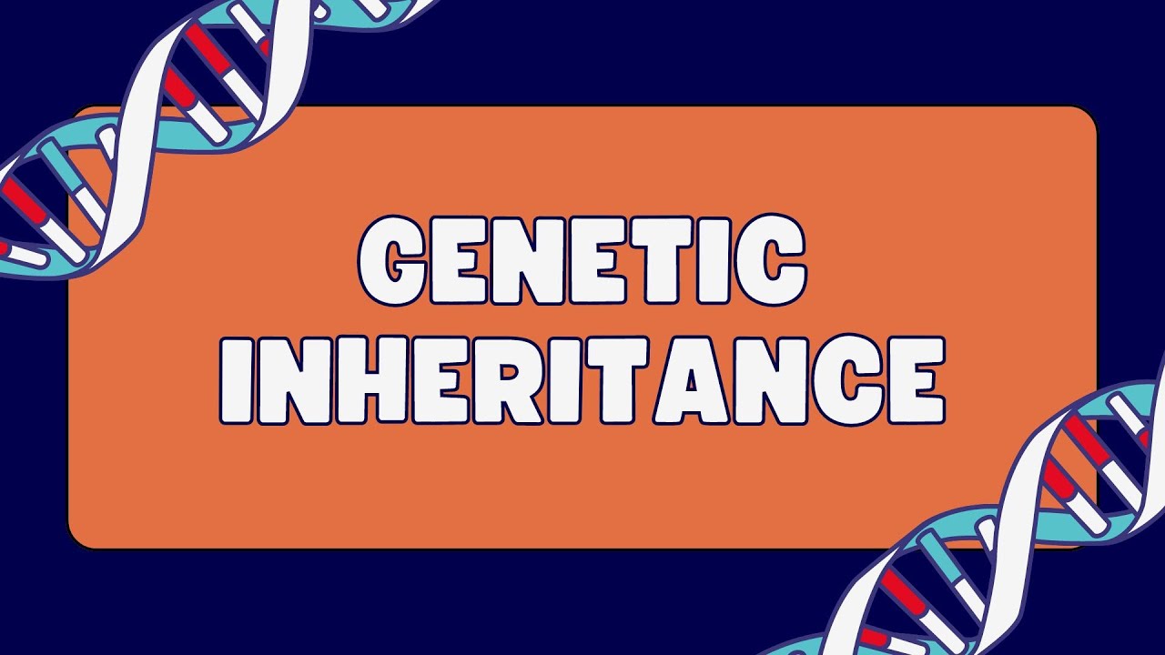 Polygenic inheritance practice problem
