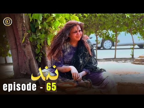 Nand Episode 65 | Minal Khan & Shehroz Sabzwari | Top Pakistani Drama