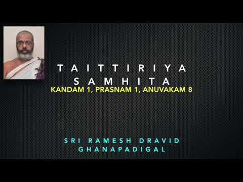 TAITTIRIYA SAMHITA 1.1.8 - Brahmasri Sri Ramesh Dravid