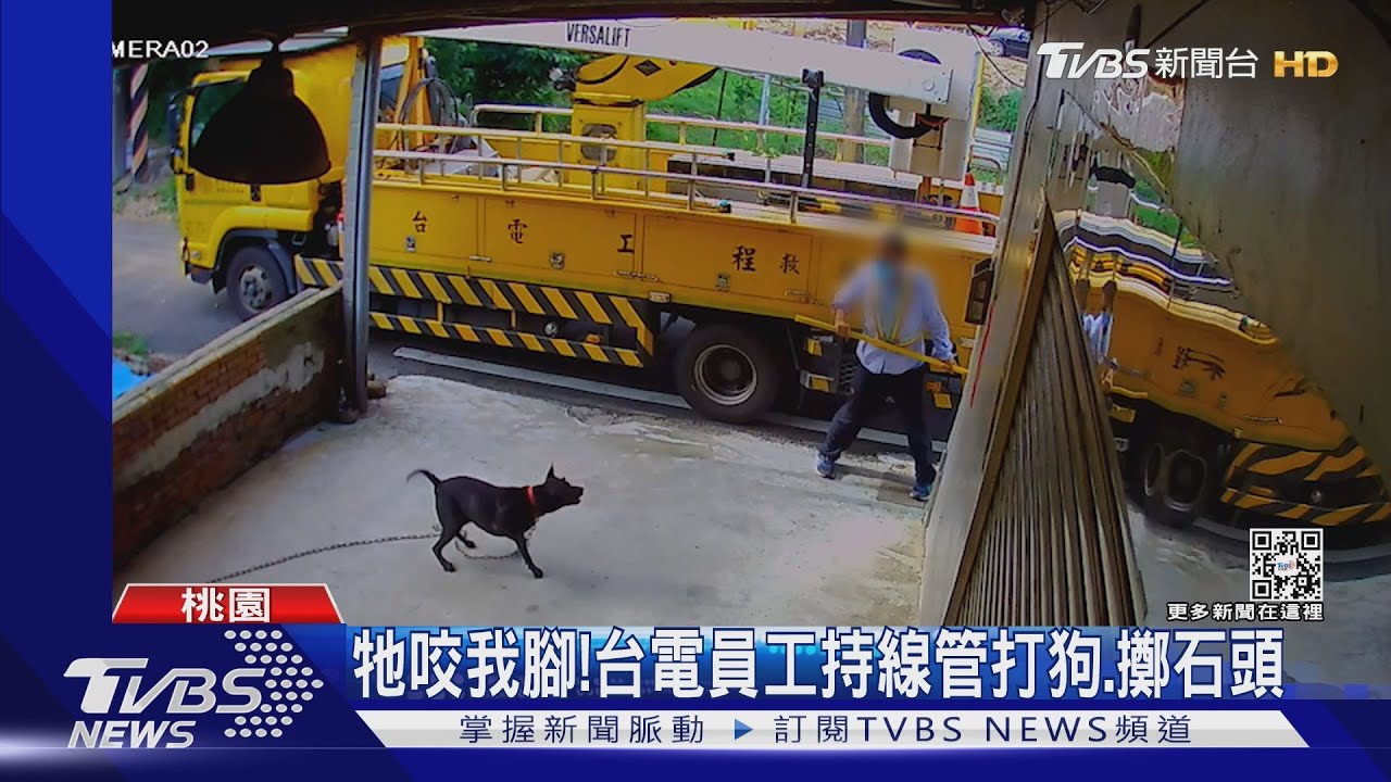 台電員工維修遭狗咬　持線管闖民宅追打