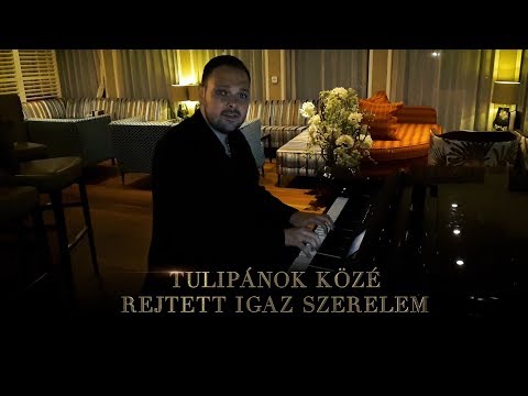 CSÍK LACI - Tulipánok közé rejtett igaz szerelem