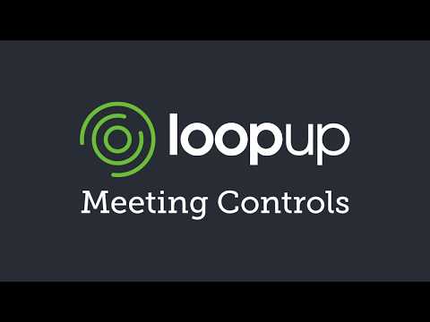 Meeting Controls