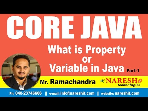 What Is Property Or Variable In Java Part 1 Core Java Tutorial Mr Ramachandra