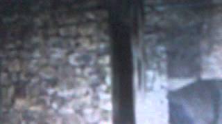 Prong ~ Not of this Earth