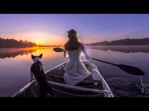 MorrisCode x S S  feat Shivi - Feed My Soul