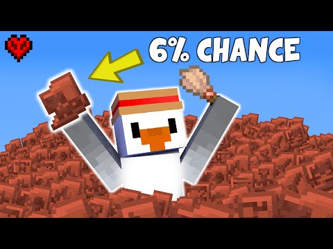 I found EVERY POTTERY SHERD in Minecraft Hardcore!