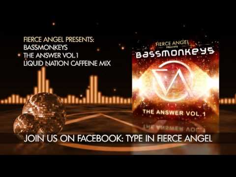 Bassmonkeys - The Answer - Liquid Nation Caffeine Mix - Fierce Angel