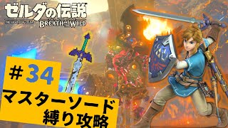 【マスターモード全クリ目指すゼル伝BotW】#34　ヴァ・ルーダニアをマスターソード縛りで攻略!