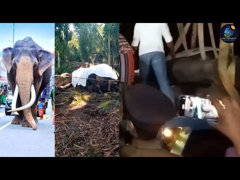 Nadungamuwa Raja Final Moment