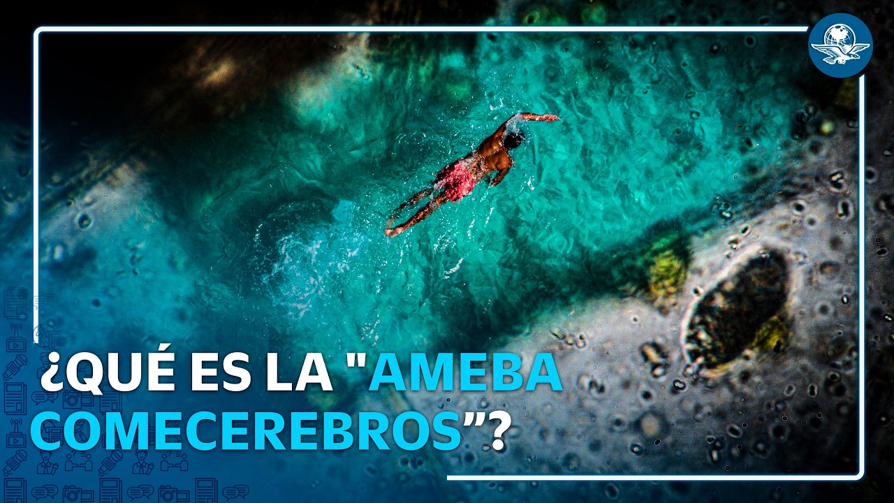 "Ameba comecerebros": qué es, cómo entra al cuerpo y cuáles son sus síntomas