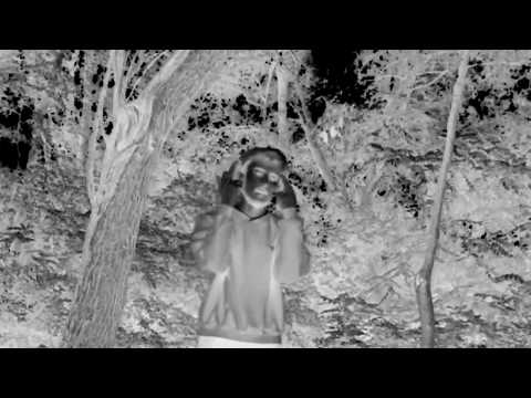 james gorczyca - da scaphism