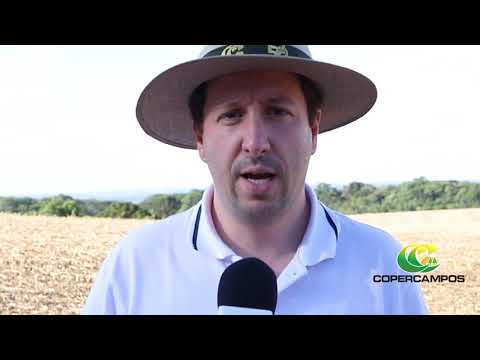 Copercampos realiza distribuição de corretivos de solo