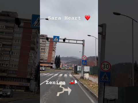 Halid Bešlić i Donna Ares Sviraj nešto narodno #live #music #bih #zenica #shortvideo