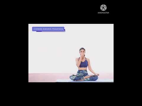 SHILPA'S QUICK YOGA FOR WEIGHT LOSS #yogapractice#celebrities#weightloss@behealthybegreat