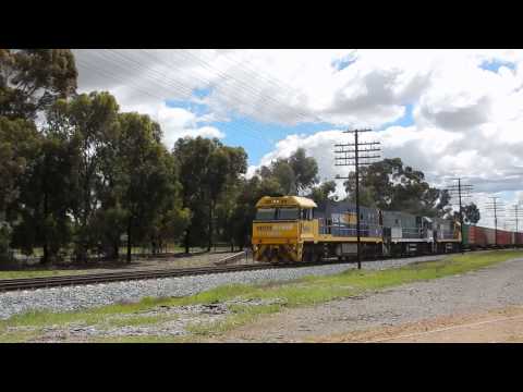 Junee Trains NR66, NR84 & NR52 with 7SM5