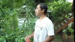 Download lagu Hartoyo - Cinta dan permata.mp4 mp3