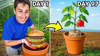 Can I Grow a Garden from a McDonald's Big Mac?