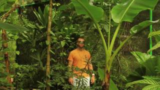 Mariposario- Gamboa, Panama, Davidsbeenhere.com
