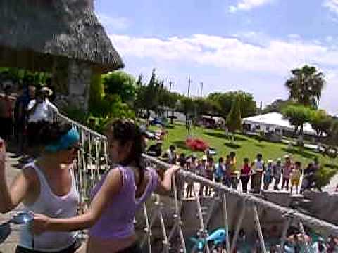 te pathe playeras mojadas