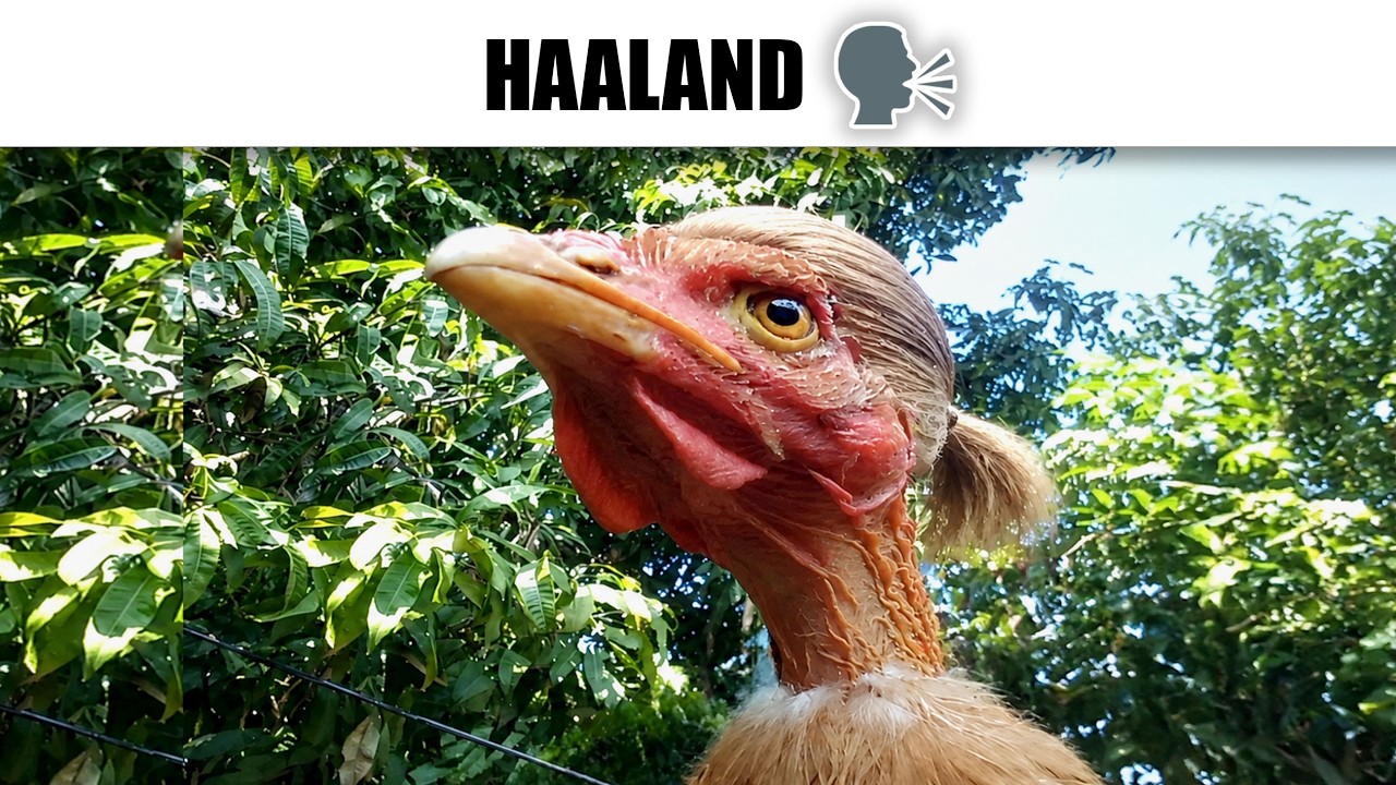 MEMES RANDOM #725
