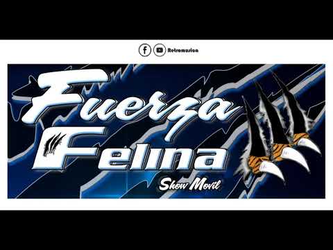 CHANGA TROPA FUERZA FELINA