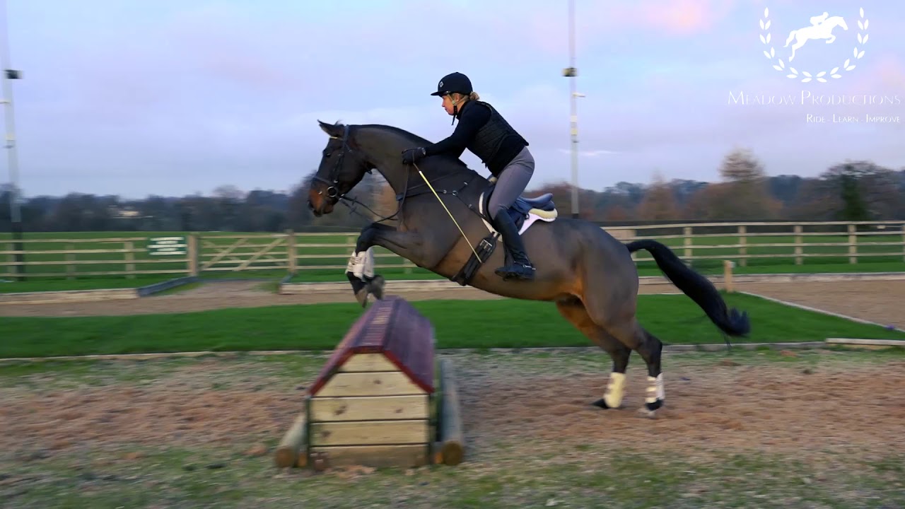 Terri and Humdinger HBC, Mark Cramb Arena Eventing Clinic 25 November, 2018 at Somerford Park Farm