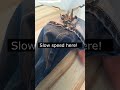 How To Hem Jeans With Keepeing Original Hem