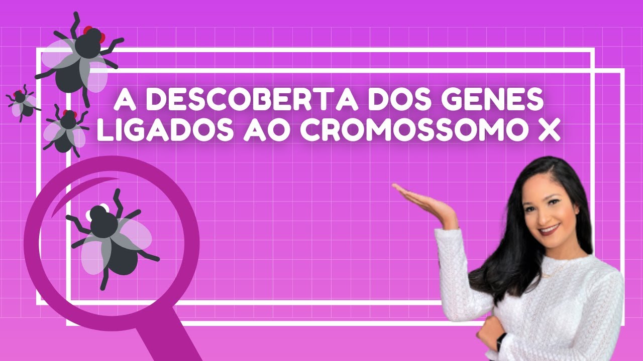 EXPERIMENTO DE THOMAS MORGAN COM AS MOSCAS DAS FRUTAS - Genes ligados ao X | Thaís Magalhães