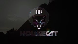 Download lagu Deep House Cat Show - Cinque Terre Mix - with Alex B. Groove // incl. free download mp3