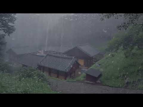 Pioggia Rilassante nella Foresta Nebbiosa per Dormire in 5 Minuti - Suoni di Pioggia e Temporale